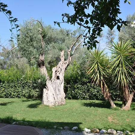 Le Macchie Calopezzati